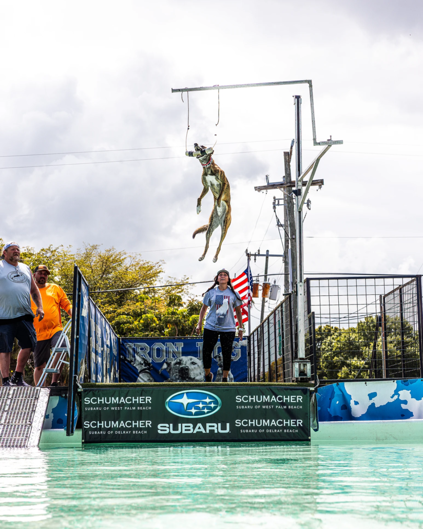 Florida Outdoor Expo Dock Dogs